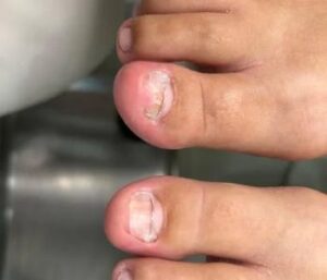 Imagem do WhatsApp de 2025 11 02 as 20.16.38 75cdc7bc